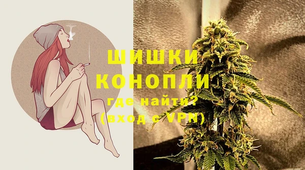 ГАЛЛЮЦИНОГЕННЫЕ ГРИБЫ Арсеньев