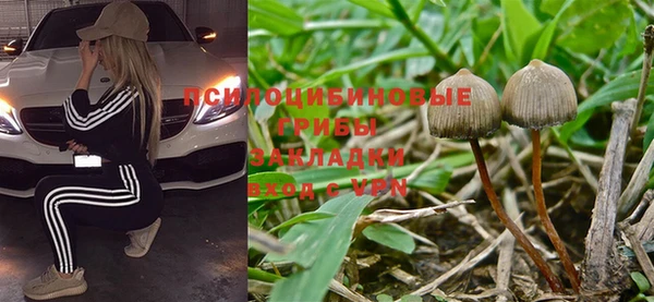 молекула духа Балахна