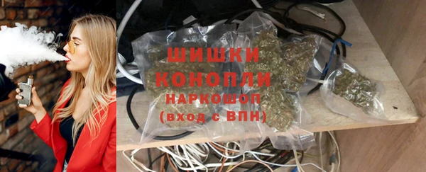 ГАЛЛЮЦИНОГЕННЫЕ ГРИБЫ Арсеньев